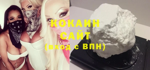 СК Тайга