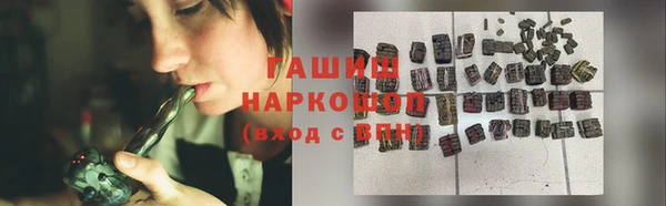 СК Тайга